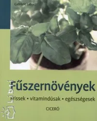 Fűszernövények - Frissek - vitamindúsak - egészségesek Outlet