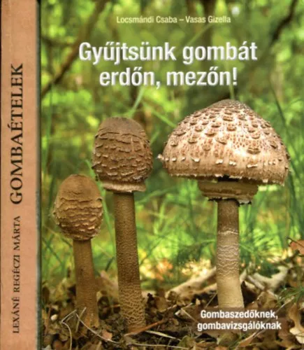 Vedd meg online 2 db gombakönyv: Gyűjtsünk gombát erdőn, mezőn! - Gombaételek