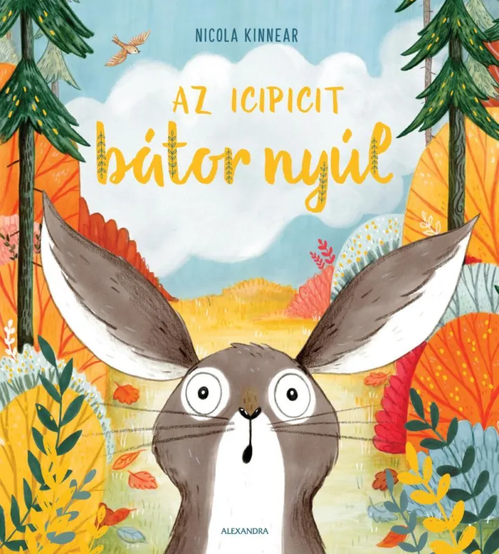Az icipicit bátor nyúl Outlet