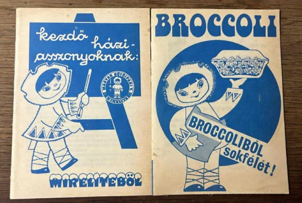 Népszerű 2 db gasztro füzet: Broccoliból sokfélét!Kezdő háziasszonyoknak mirelitből