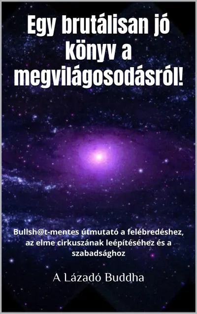 Végkiárusítás Egy brutálisan jó könyv a megvilágosodásról