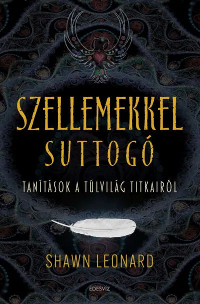Csak ma Szellemekkel suttogó - Tanítások a túlvilág titkairól