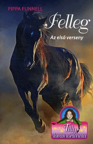 Rendeld meg most Felleg - Az első verseny