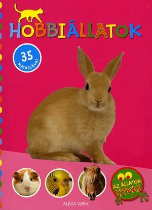 Vedd meg most Hobbiállatok