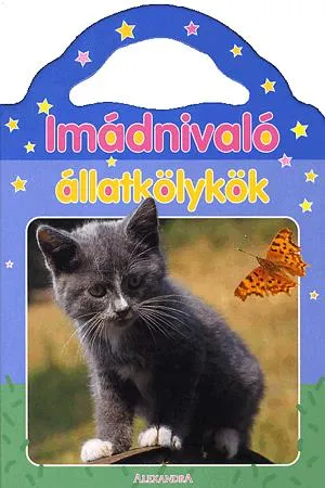 Rendeld meg most Csodás fotók az állatok világából: Imádnivaló állatkölykök