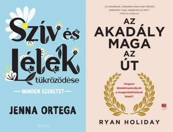 2 mű problémamegoldásról és önbizalom növelésről: Az akadály maga az út - Hogyan diadalmaskodjunk a megpróbáltatások felett? + Szív és Lélek tükröződése Prémium