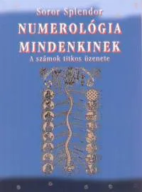 Rendeld meg most Numerológia mindenkinek - A számok titkos üzenete