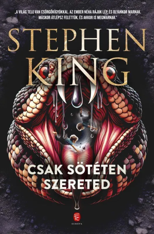 Csak sötéten szereted Vedd meg online