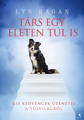 Ajánlat Társ egy életen túl is