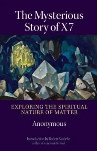Prémium The Mysterious story of X7