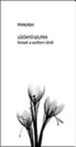 Vízöntő-szutra (versek a szellemi útról) Olcsóbb