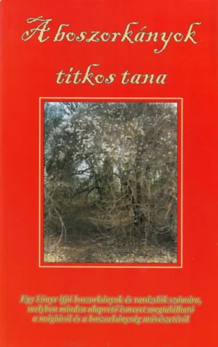 Szezonális akció A Boszorkányok titkos tana
