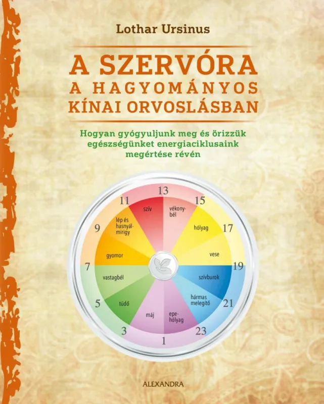 Népszerű A szervóra a hagyományos kínai orvoslásban