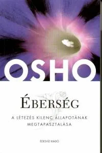 Éberség - A létezés kilenc állapotának megtapasztalása Olcsó