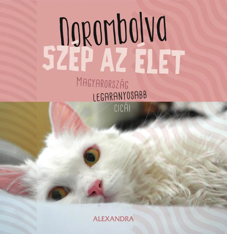 Olcsóbb Dorombolva szép az élet - Magyarország legaranyosabb cicái
