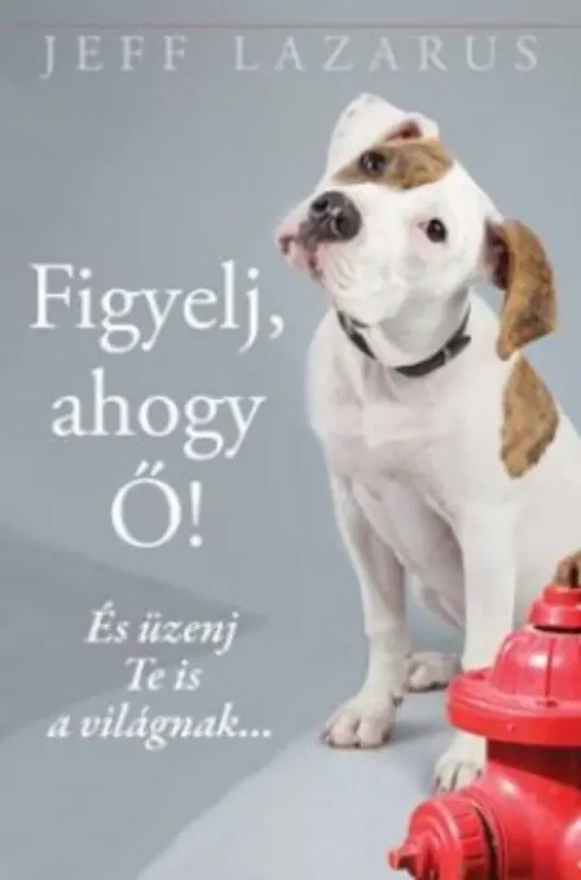 Akciós ár Figyelj, ahogy ő! - És üzenj te is a világnak... (Jeff Lazarus)