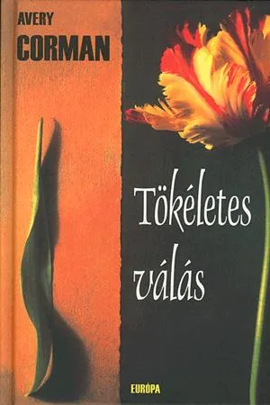 Outlet Tökéletes válás