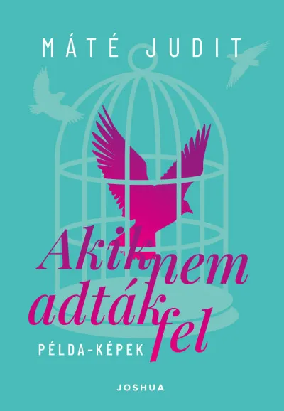 Akik nem adták fel - Példa-képek Legnépszerűbb