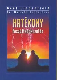Bestseller Hatékony feszültségkezelés - Hogyan legyünk nyugodtak és mégis eredményesek...