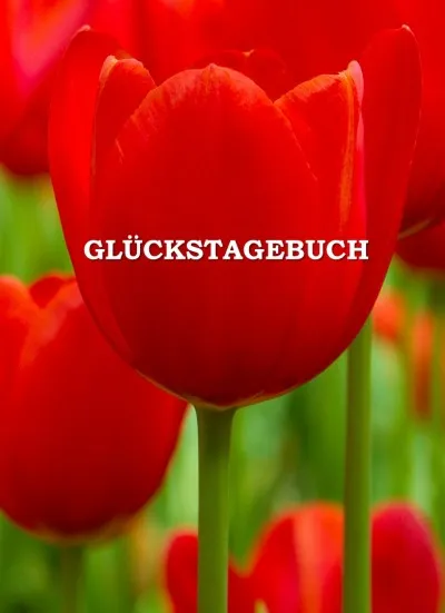 Glückstagebuch - kemény kötés Exkluzív ajánlat
