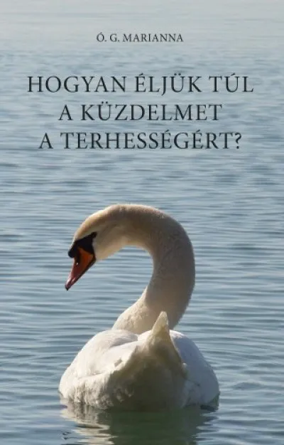 Hogyan éljük túl a küzdelmet a terhességért? Legjobb ár