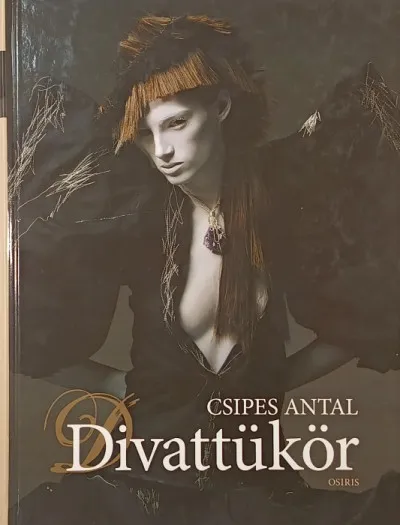 Divattükör Expressz kézbesítés