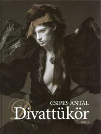 Divattükör Gyors szállítás