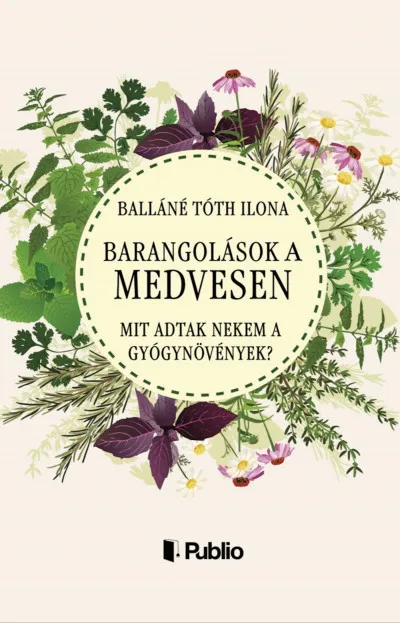 Szuper akció Barangolások a Medvesen