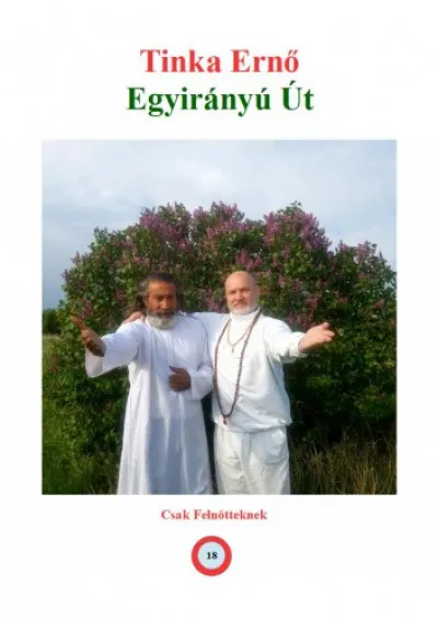 Egyirányú Út Akció