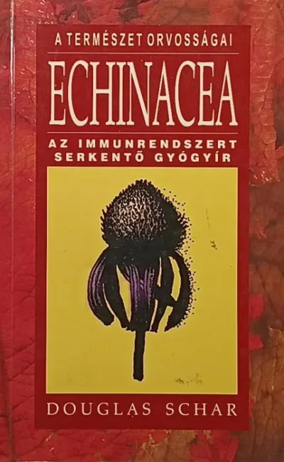 Csak ma Echinacea - Az immunrendszert serkentő gyógyír
