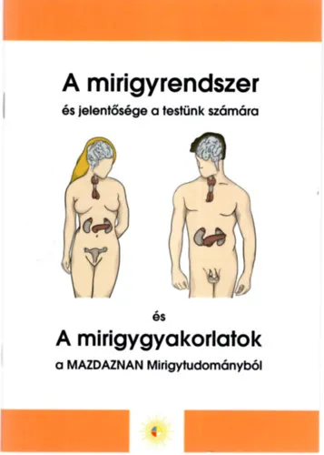 Biztonságos vásárlás A mirigyrendszer és jelentősége a testünk számára