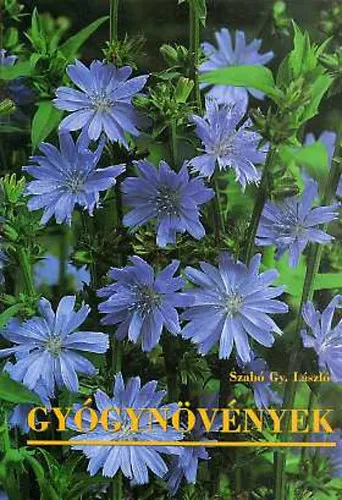 Gyógynövények Bestseller