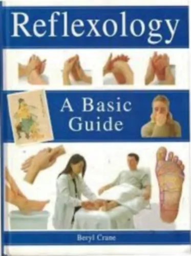 Akció Reflexology - A Basic Guide