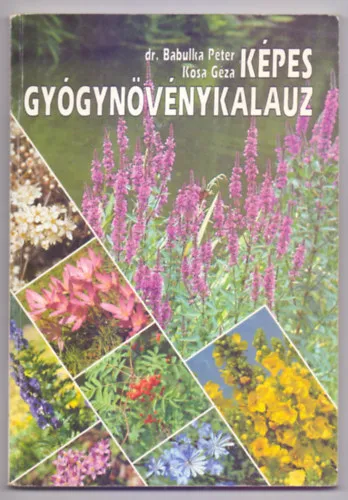 Képes gyógynövénykalauz (Színes fotókkal) Expressz szállítás