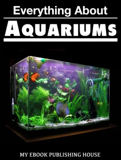 Everything About Aquariums Bestseller
