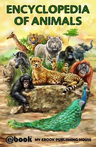 Vedd meg most Encyclopedia of Animals