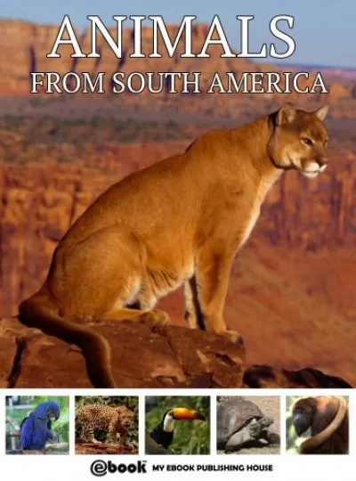 Animals from South America Kedvezményes ár