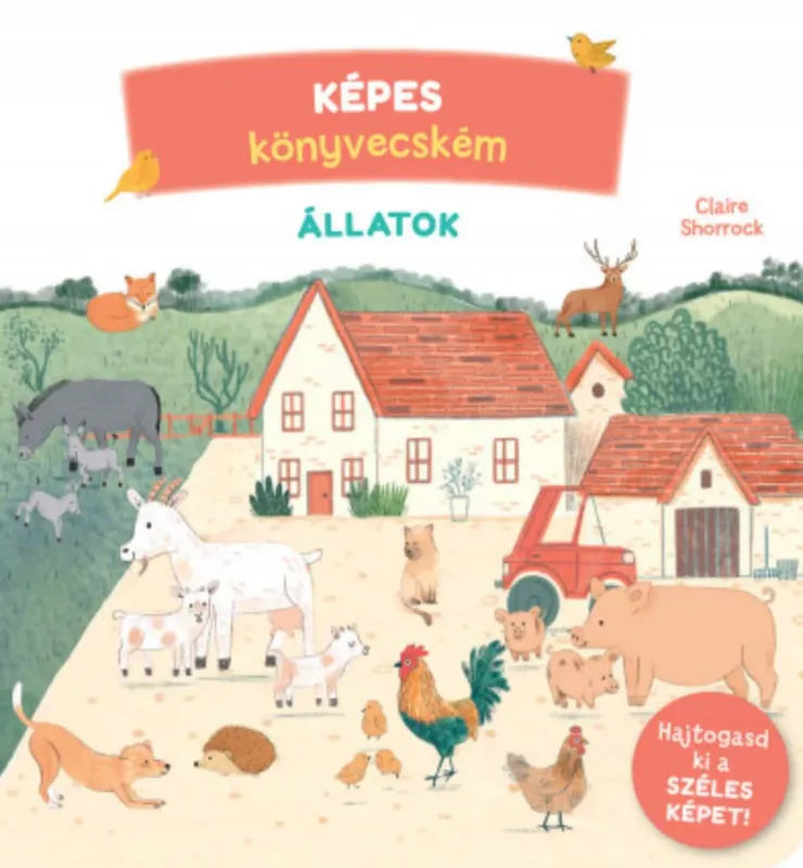 Azonnali szállítás Képes könyvecském 1. - Állatok - Claire Shorock
