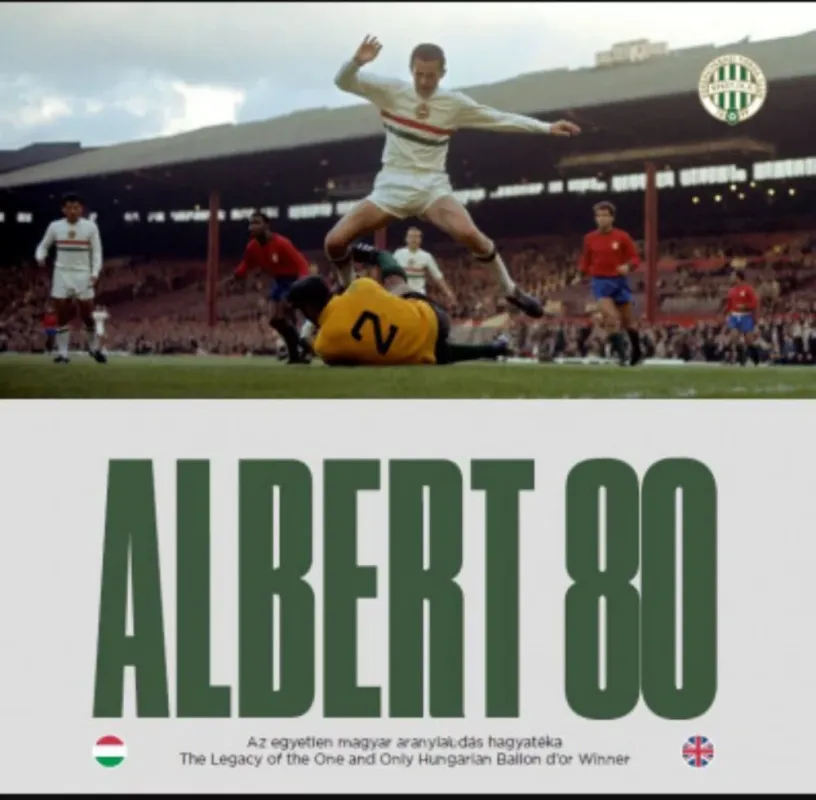 Albert 80 - Czégány Pál Kedvezmény