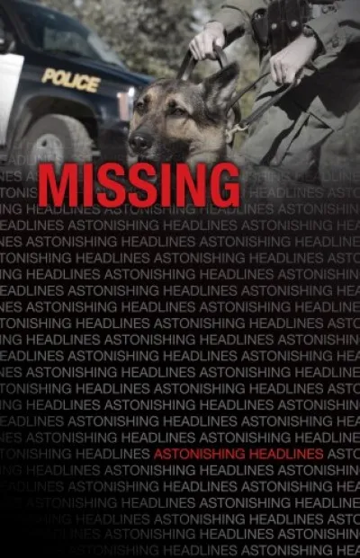 Missing Legjobb ár