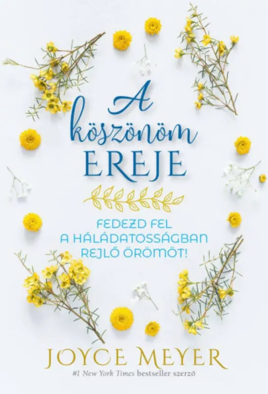 A köszönöm ereje - Joyce Meyer Alacsony ár