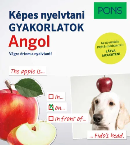 Olcsóbb PONS Képes nyelvtani gyakorlatok - Angol