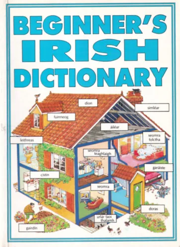 Beginner's Irish Dictionary Végkiárusítás