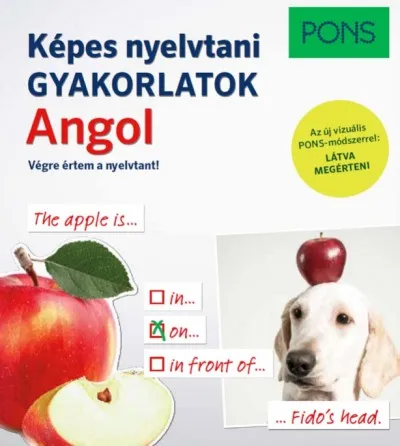 Ajánlat PONS Képes nyelvtani gyakorlatok - Angol