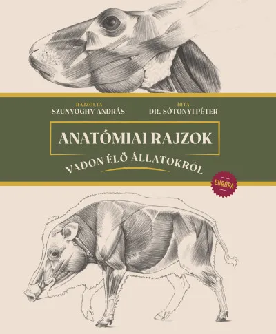 Anatómiai rajzok vadon élő állatokról - Európa Árengedmény
