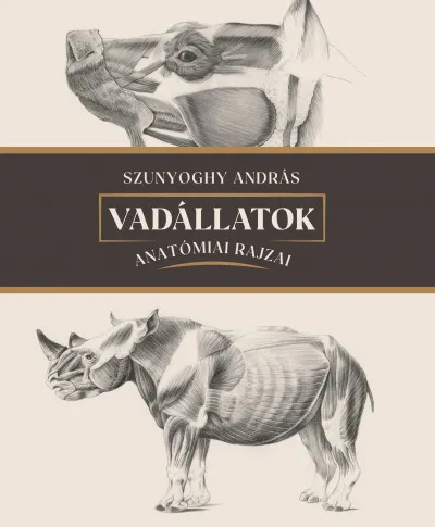Vadállatok anatómiai rajzai Bestseller