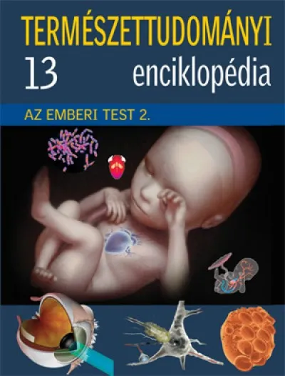 Gyors szállítás Az emberi test 2. - Természettudományi enciklopédia 13.