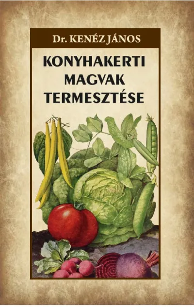 Olcsó Konyhakerti magvak termesztése
