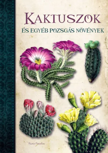 Korlátozott ajánlat Kaktuszok és egyéb pozsgás növények
