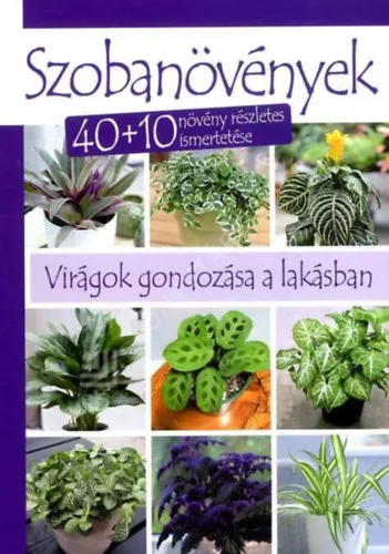 Szobanövények - 40+10 növény részletes ismertetése Kedvezményes ár